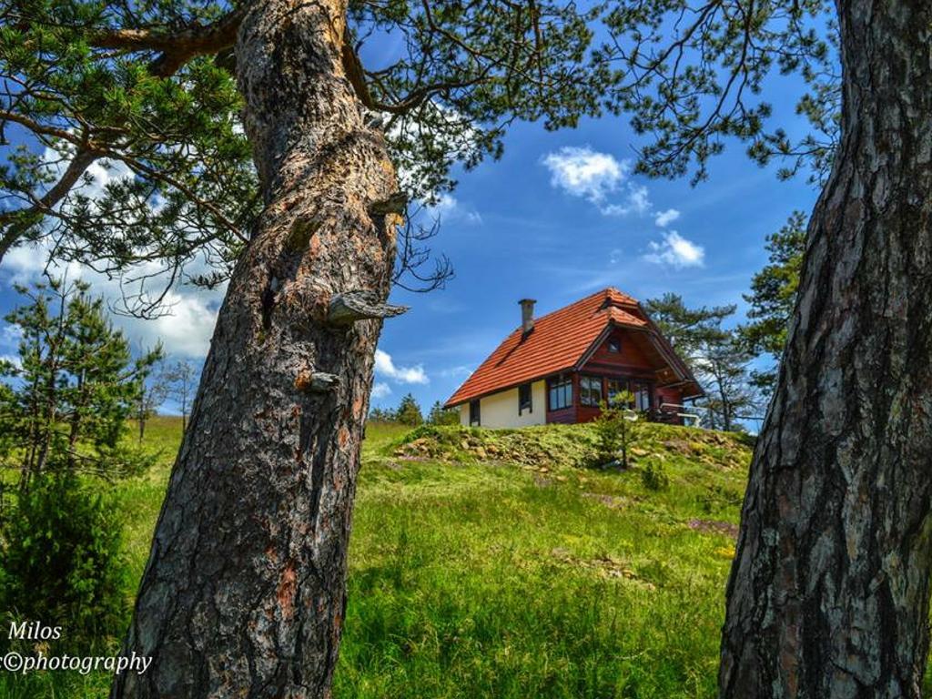 Cottage Vodice Златибор Экстерьер фото